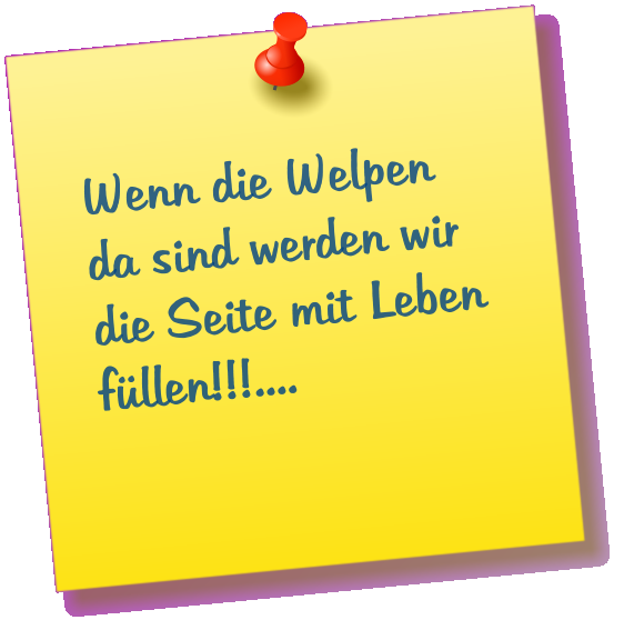 Wenn die Welpen da sind werden wir die Seite mit Leben füllen!!!....